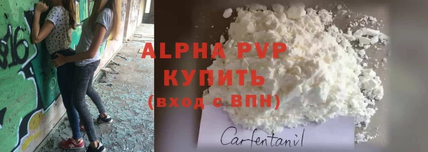 СК Алзамай