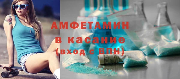 прущие грибы Абинск