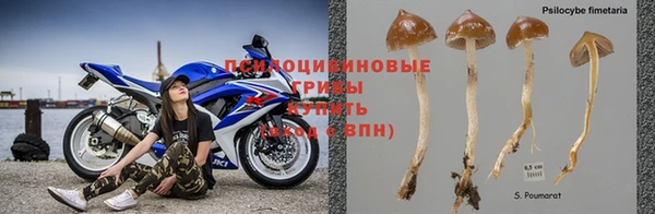 СК Алзамай