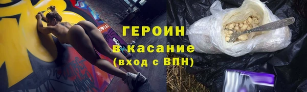 прущие грибы Абинск