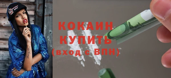 прущие грибы Абинск