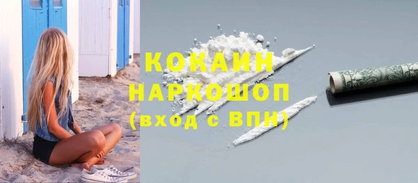 прущие грибы Абинск