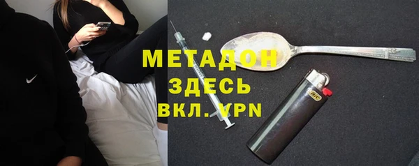 прущие грибы Абинск
