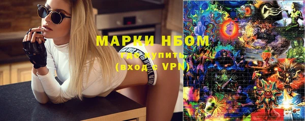 прущие грибы Абинск
