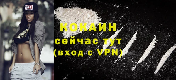 прущие грибы Абинск