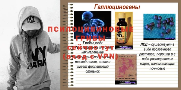 каннабис Абаза