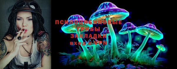 прущие грибы Абинск